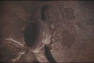 huile d'olive tunisie