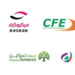 Institutions de Microfinance