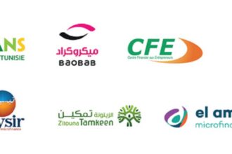 Institutions de Microfinance