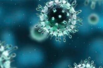 Coronavirus
