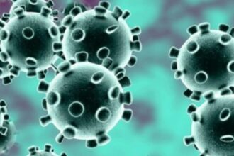 covid-19 - l'économiste maghrebin