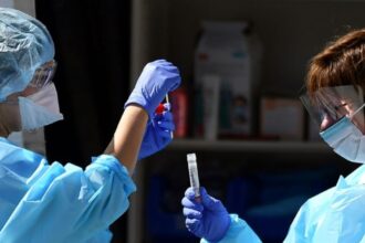 test RT-PCR - l'économiste maghrebin