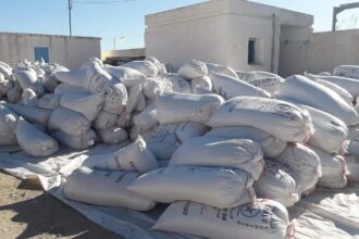 Spéculation - Elyès Fakhfakh