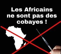 africains-cobayes-