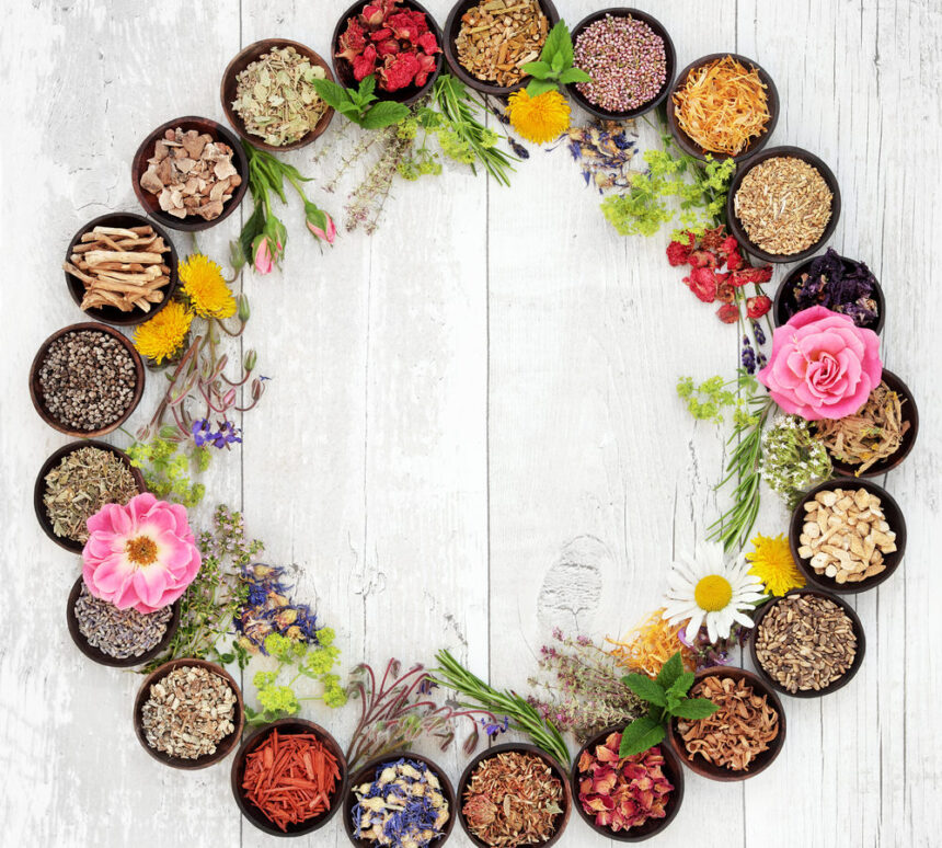 coronavirus-plantes-médicinales