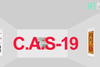 C.A.S-19 - l'économiste maghrebin