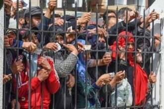 covid-19 - l'économiste maghrebin