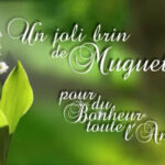 muguet-1er_mai