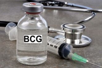 Institut Pasteur Tunis Vaccin BCG Coronavirus