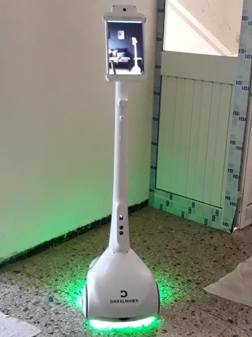 covid-19 l'économiste maghrebin