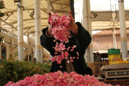 Prix produits agricoles