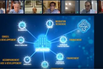 STB tourisme transformation