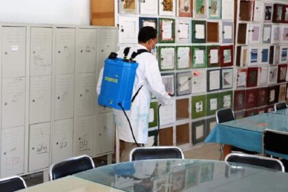 covid-19 - l'économiste maghrebin