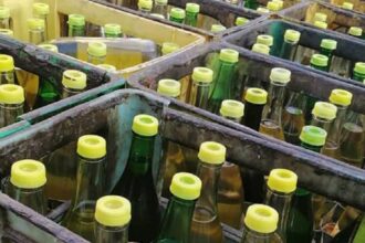 les huiles végétales importation