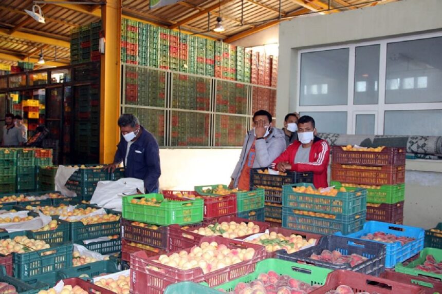 Bir El Kassaâ - l'économiste maghrebin