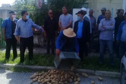 utap - l'économiste maghrebin