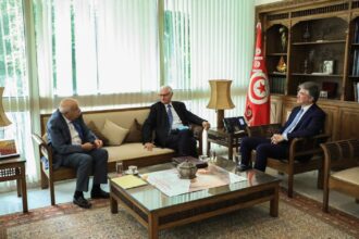 Farid Abbes - l'économiste maghrebin