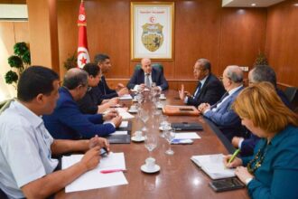 concentré de tomates