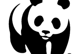 Le bureau du WWF-Afrique du nord envisage d'élaborer deux notes d'orientation (policy briefs) relatifs à la révision des normes d'usage des intrants chimiques en agriculture et à la réforme du système de subventions agricoles.