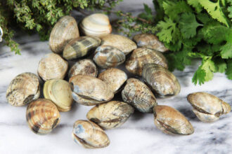 Consommation palourdes vivantes