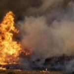 Plusieurs incendies s'étaient déclarés, ces dernières années au parc Ennahli notamment en 2014 ayant ravagé 40 ha, en juin 2016, en août 2017 et en juillet 2020.