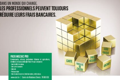 Pack-mosaic-pro UBCI