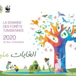semaine des forêts tunisiennes