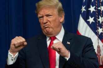 USA Trump démocratie