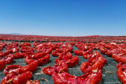Tomate séchée de Tunisie