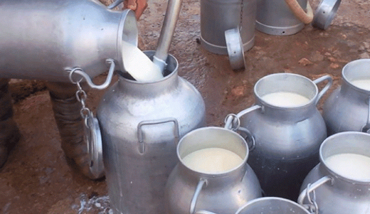 lait