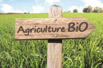 agriculture biologique