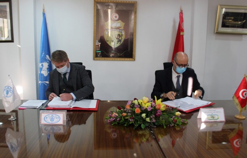 projets Tunisie FAO