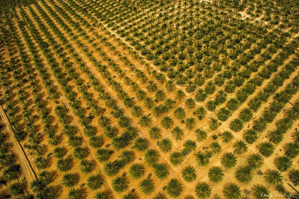 Et si la petite exploitation agricole était la solution