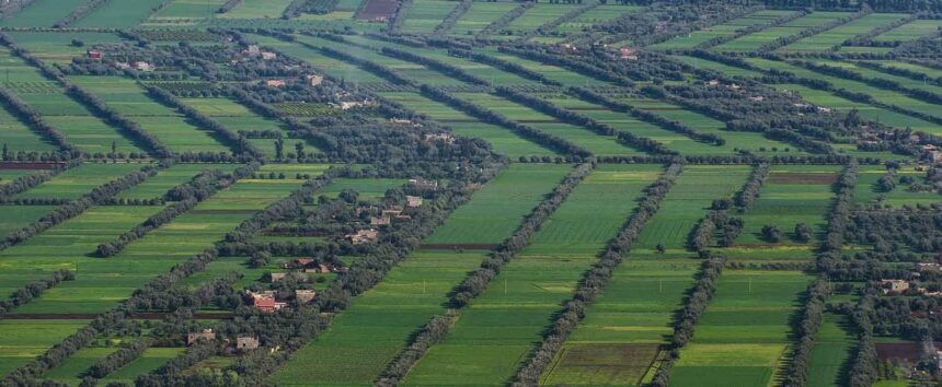 Maroc BAD Céréales