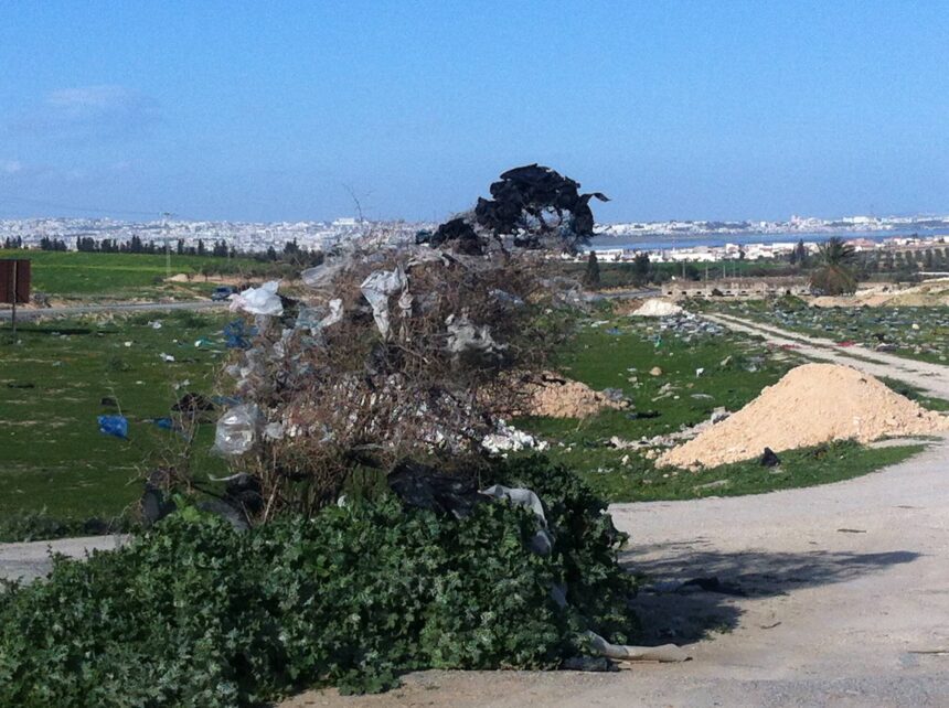 catastrophes environnementales