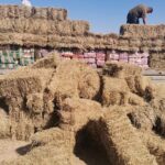 matières premières agricoles