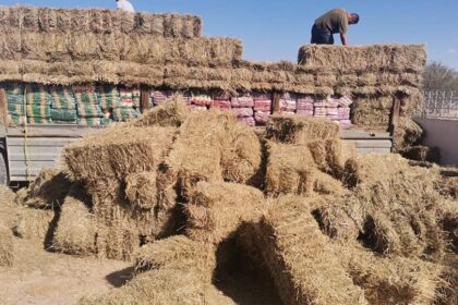 matières premières agricoles