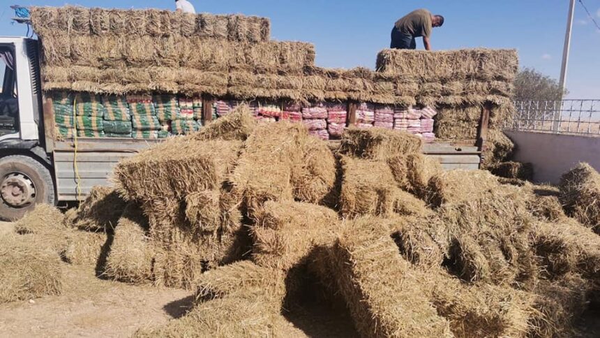matières premières agricoles