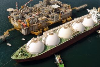 exportations égyptiennes