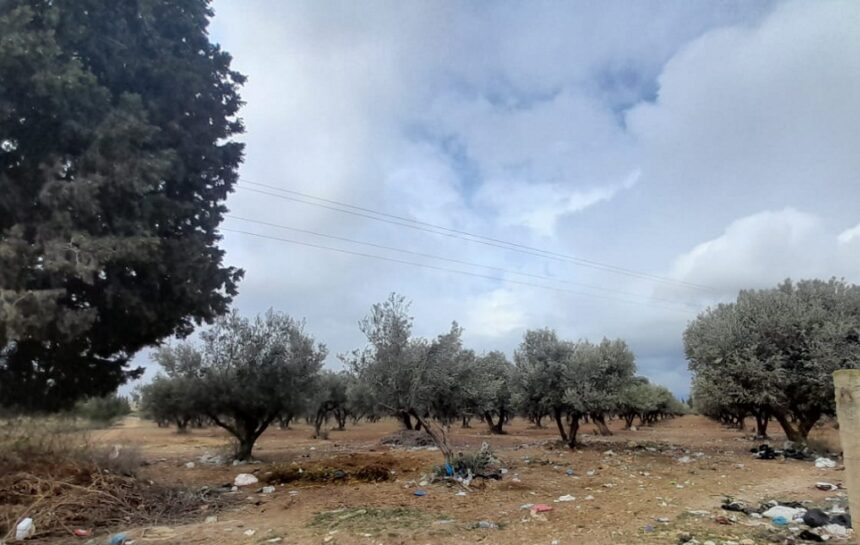 Etat Domaines de l'Etat et affaires foncières