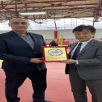 judo