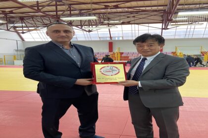 judo