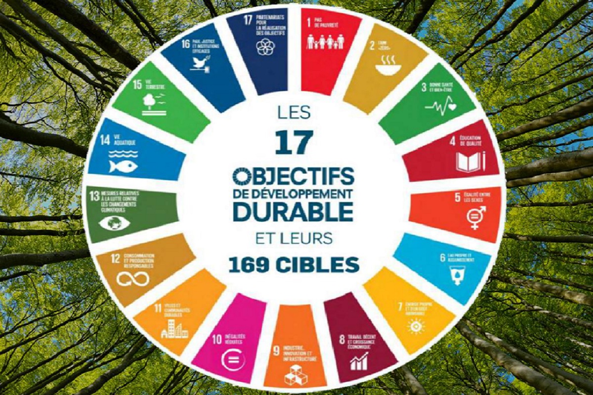 ONU : changement climatique et objectifs de développement durable