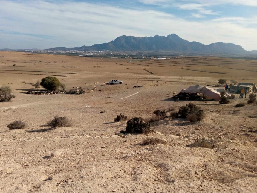 La propriété récupérée a été remise aux services de l’Office des terres domaniales (OTD) en attendant sa réaffectation et son exploitation dans le cadre du processus économique de la région dans les délais les plus brefs, conformément aux procédures légales en vigueur.