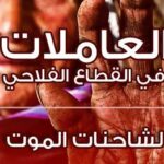 Le FTDES appelle également à trouver des solutions radicales à cette problématique dans le cadre de l’application de la stratégie de l’Etat visant la lutte contre toute forme de violence économique exercée sur les femmes.