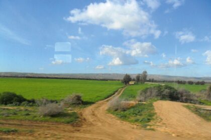 agricoles