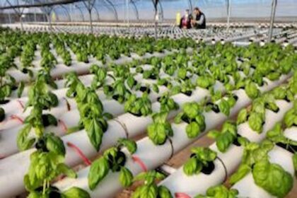 Investissements agricoles