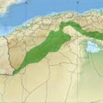 Relance du reboisement autour du Barrage vert en Algérie