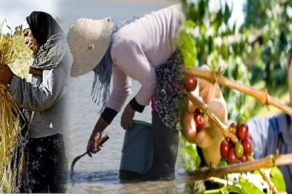 autonomisation économique