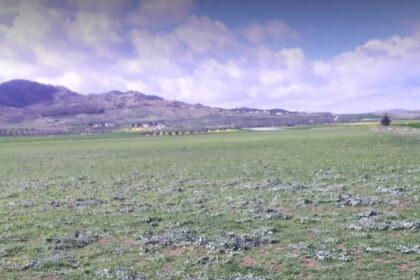 Le terrain agricole est confié, provisoirement, à l’Office des Terres Domaniales (OTD), en attendant sa réaffectation conformément aux réglementations en vigueur.